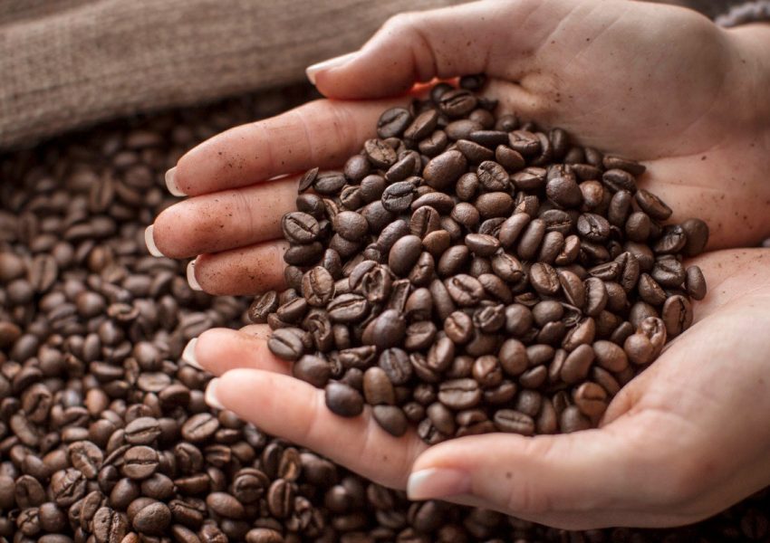 What Makes the Coffee Beans So Important To Choose? And How to Choose?